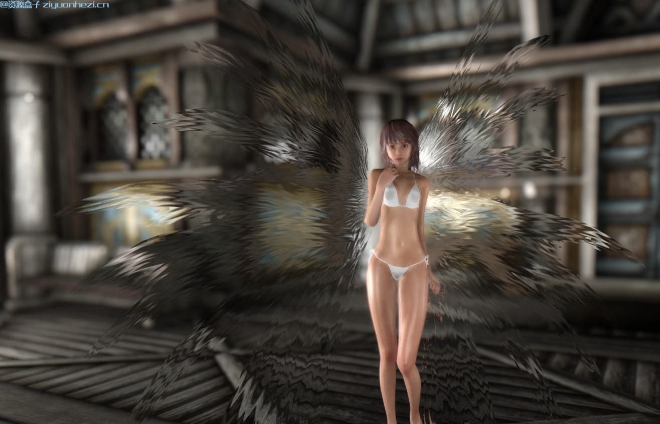 上古卷轴5：天际 绝美幻影羽翼