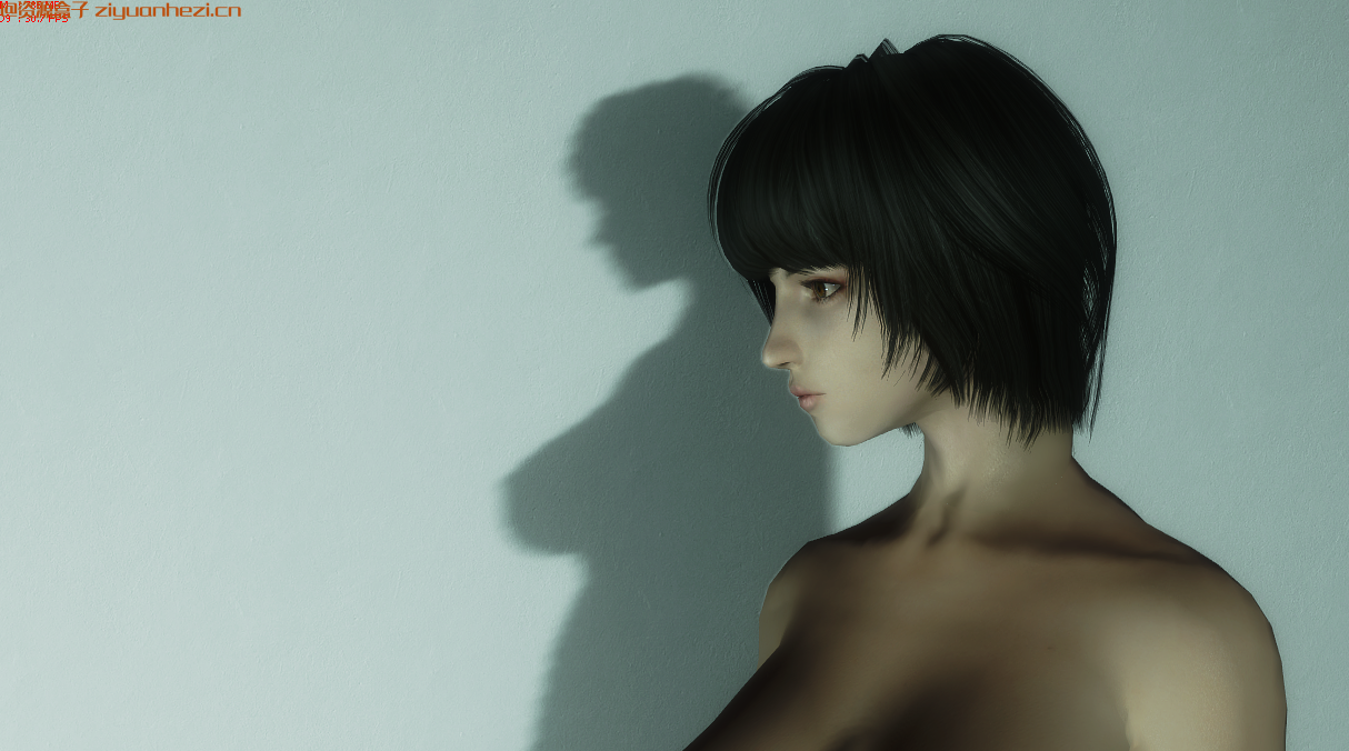 上古卷轴5：天际 随从MOD御姐凯琳 汉化版