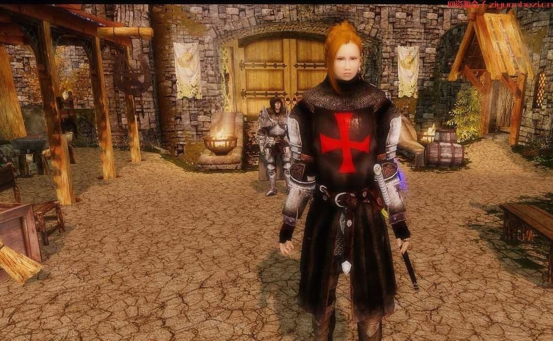 上古卷轴5：天际 各种骑士团的逆袭[汉化]