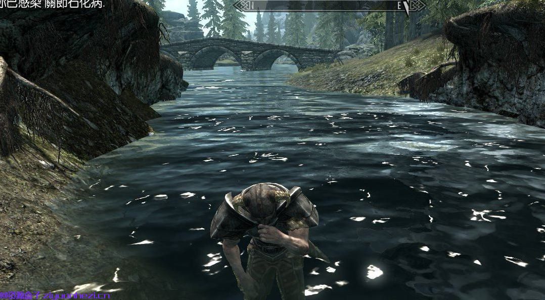 上古卷轴5 真实需求与疾病v1.95 汉化版