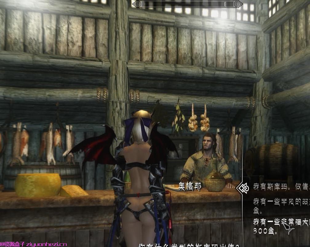 上古卷轴5：天际 做一个烟草商人[汉化]