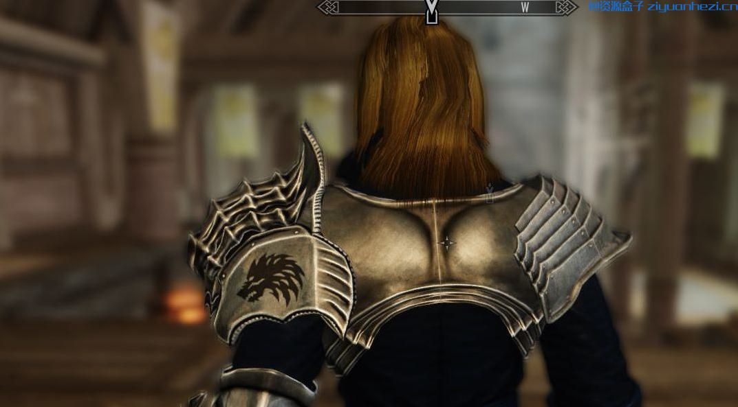 上古卷轴5：天际 洛奇K-9套装 重制版