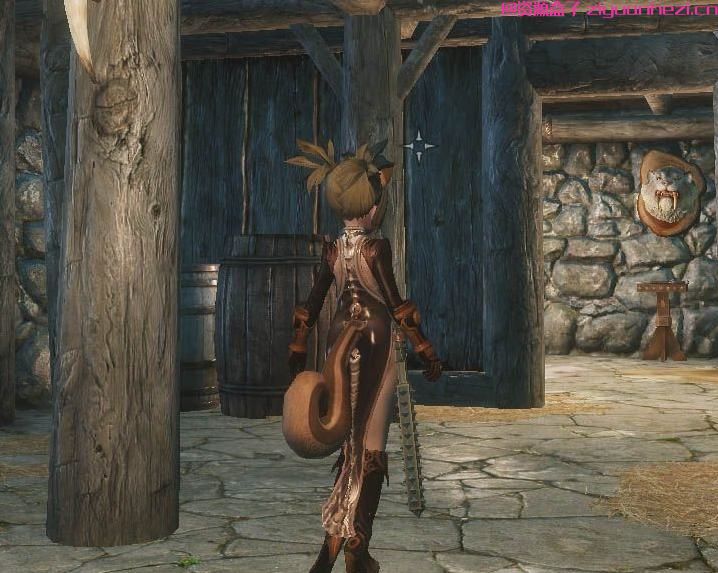 上古卷轴5：天际 精品TERA套装之FOX31