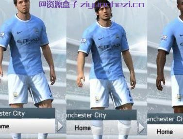 FIFA 14 真实球衣褶皱补丁