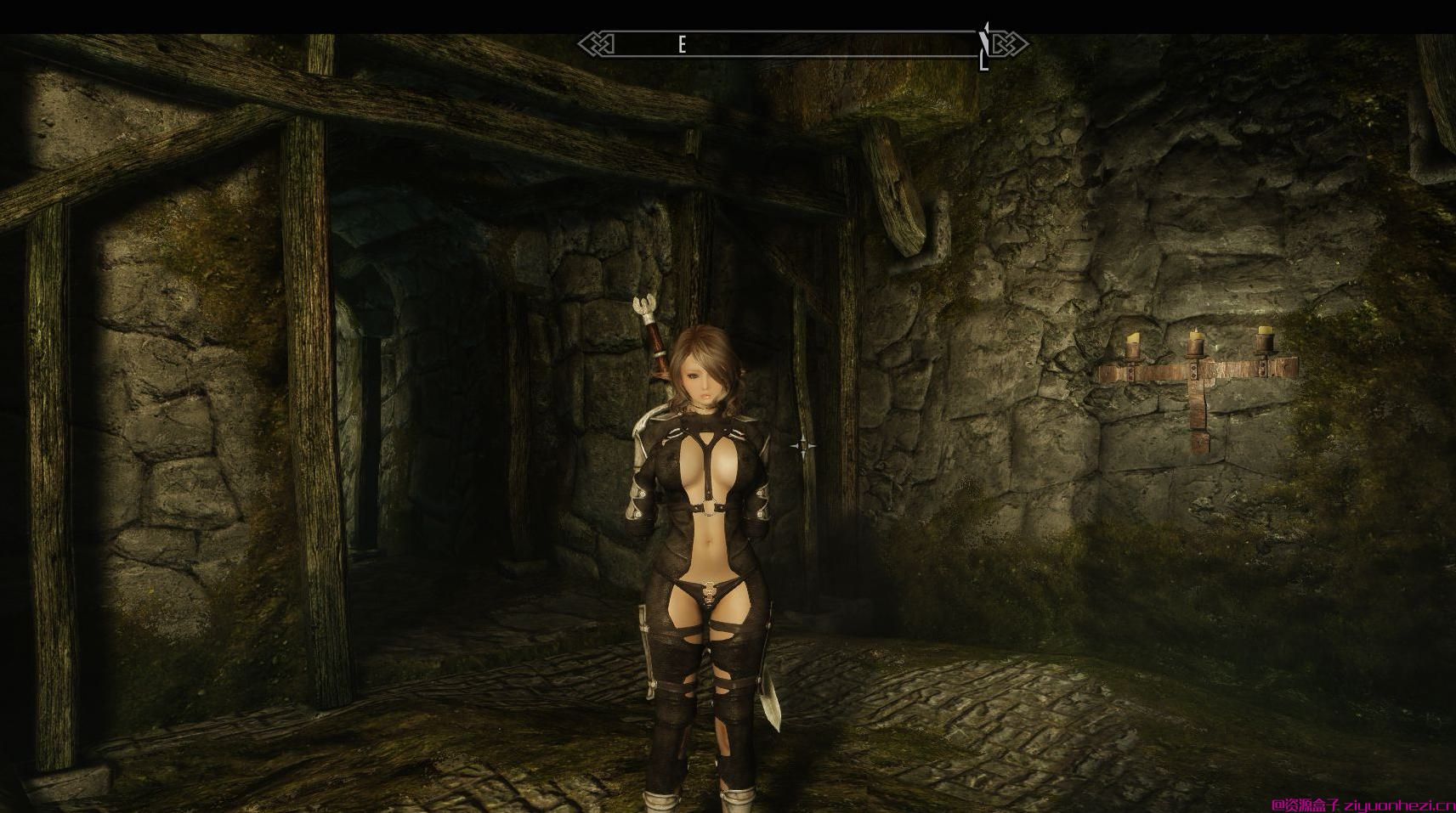 上古卷轴5：天际 随从-精灵游侠艾碧亚