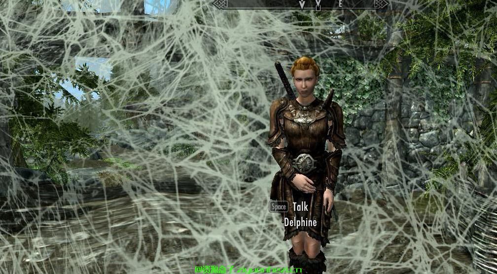 上古卷轴5：天际 蛛网诅咒法术v1.0 汉化版