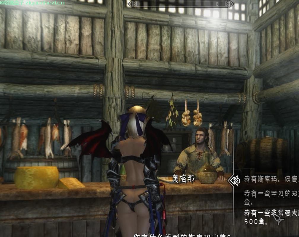 上古卷轴5：天际 做一个烟草商人[汉化]