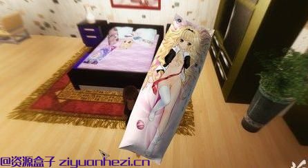 上古卷轴5：天际 DIY节操抱枕v1.0