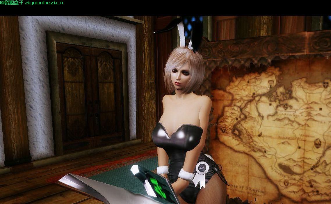 上古卷轴5:天际 瑞雯放逐之刃 汉化版