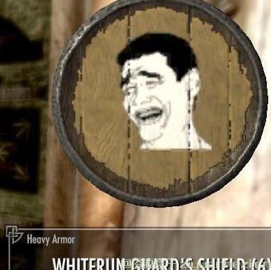 上古卷轴5：天际 恶搞姚明盾