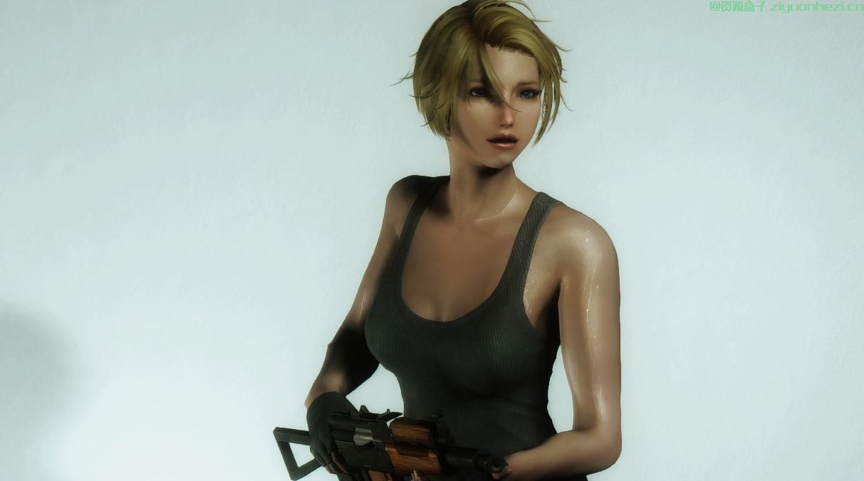 上古卷轴5：天际 寄生前夜阿雅 中文版