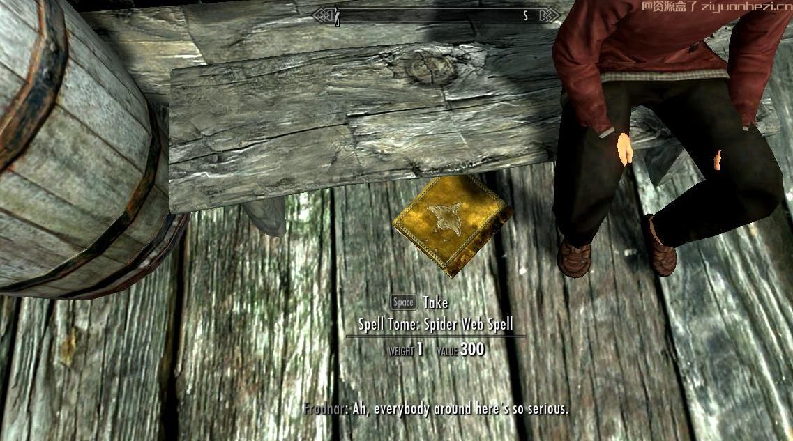 上古卷轴5：天际 蛛网诅咒法术v1.0 汉化版