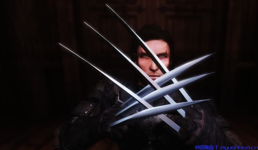 上古卷轴5：天际 金刚狼之爪 汉化版