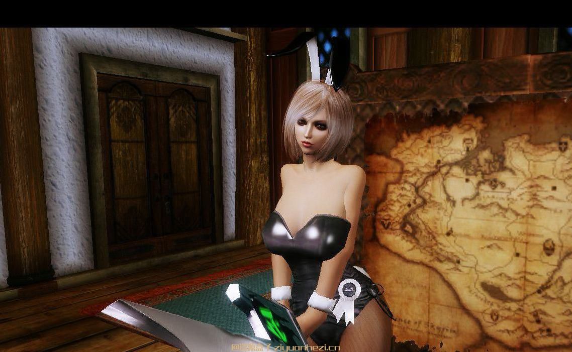 上古卷轴5:天际 瑞雯放逐之刃 汉化版