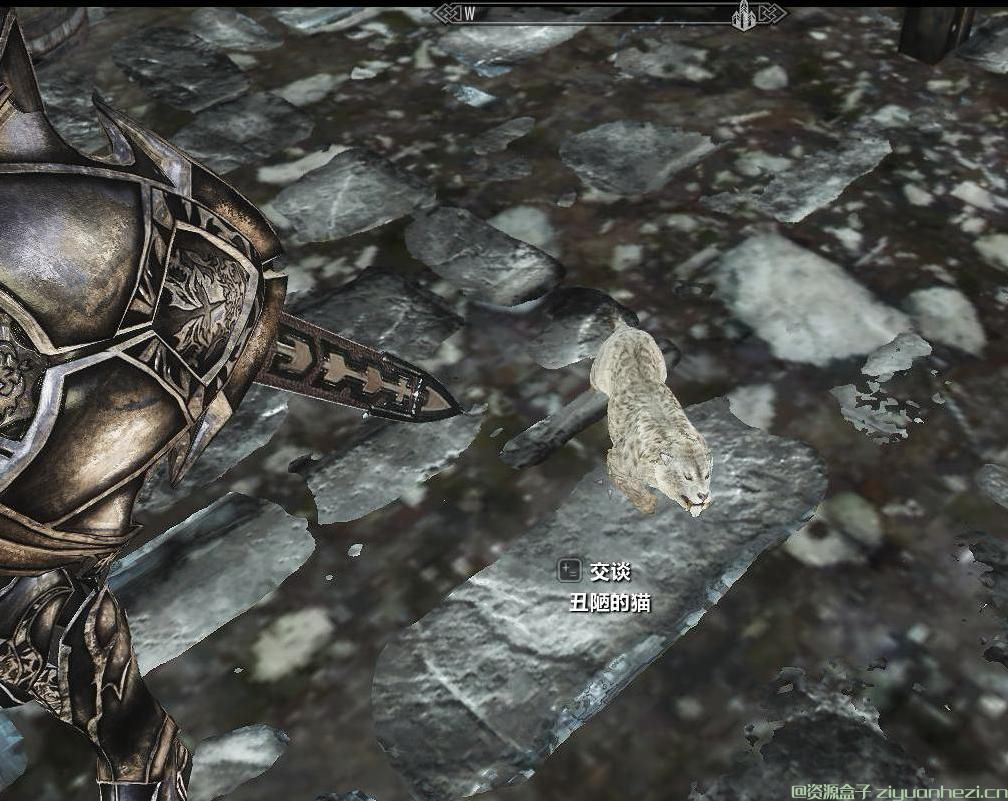 上古卷轴5:天际 随从MOD白猫宝宝 汉化版