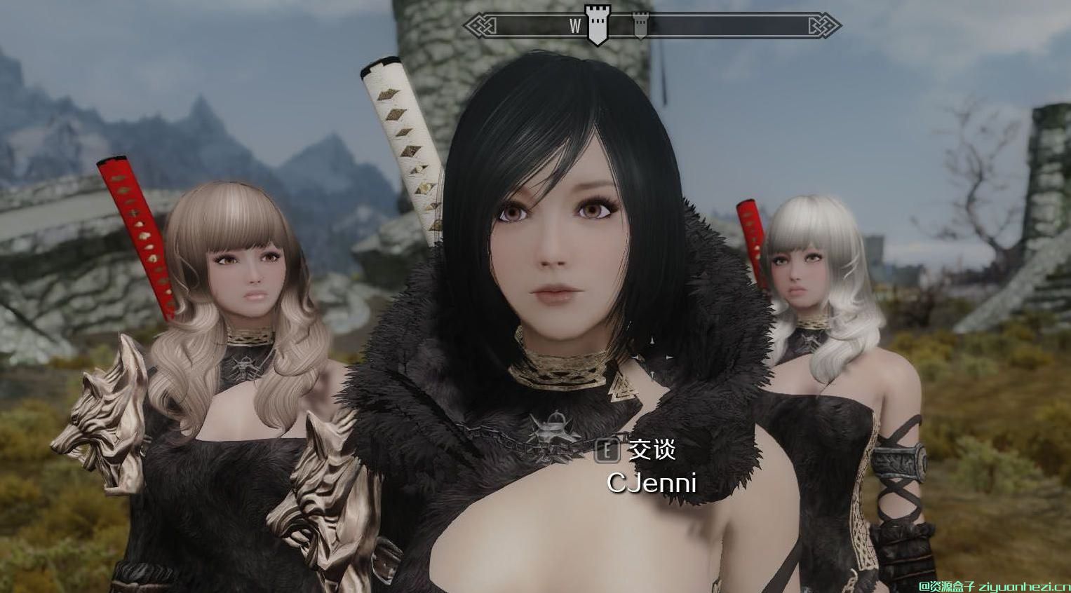 上古卷轴5：天际 独立随从durriya 黑珍珠 独立NMM版