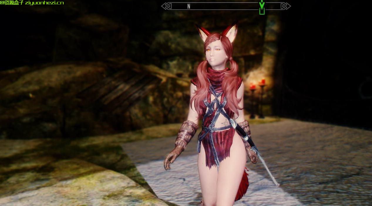 上古卷轴5：天际 自制独立随从-火狐小乖