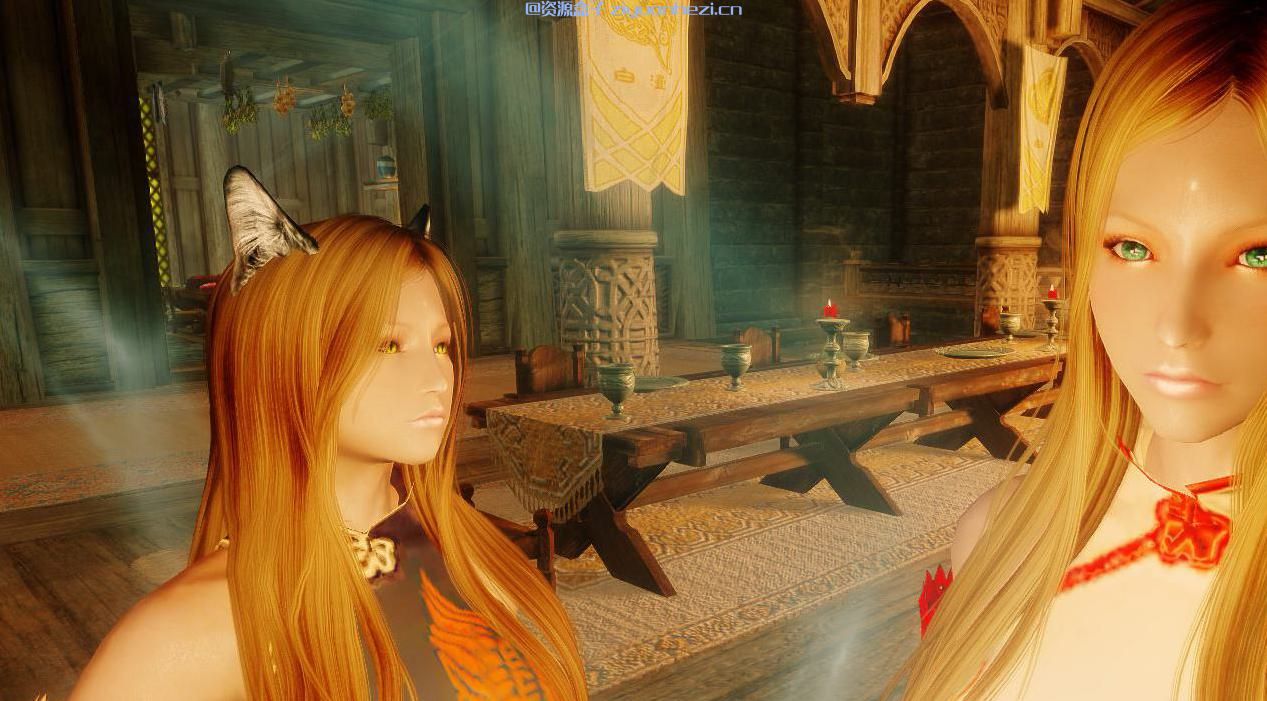 上古卷轴5：天际 独立随从 猫女法师Maria