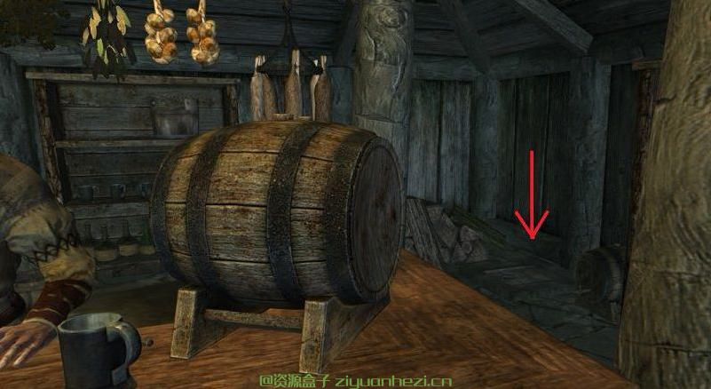 上古卷轴5:天际 旅馆洗澡房 汉化版