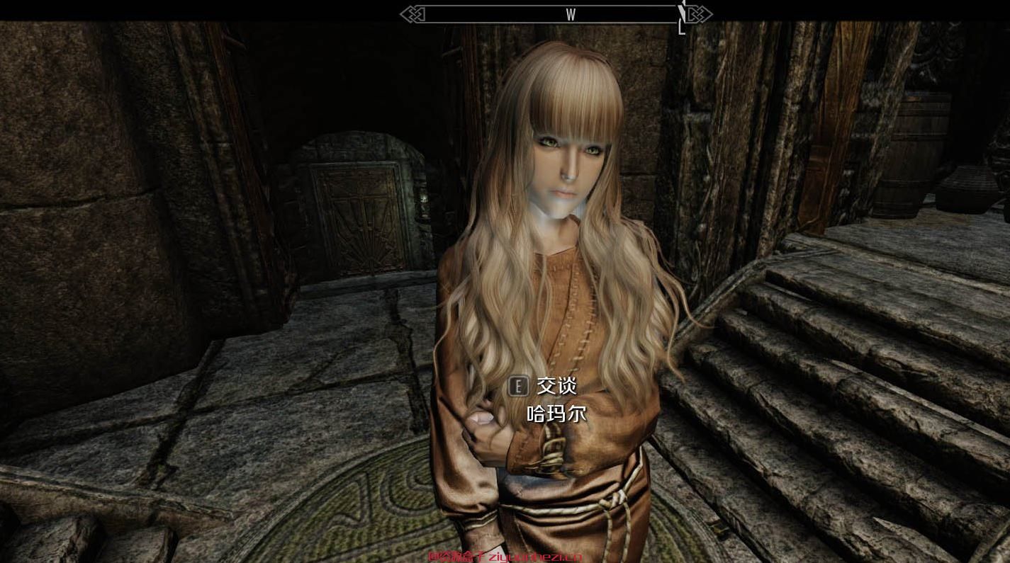 上古卷轴5：天际 Jully精品全美(含58名女性NPC美化)