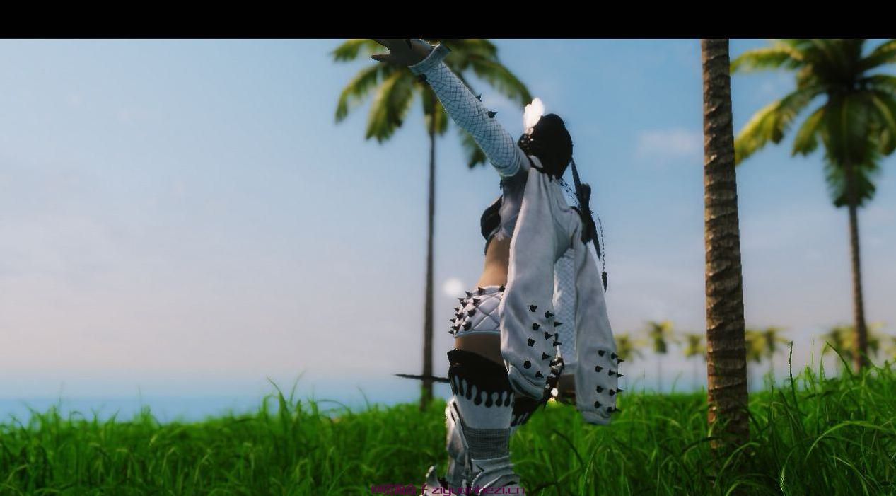 上古卷轴5：天际 热带岛屿场景MOD 汉化版