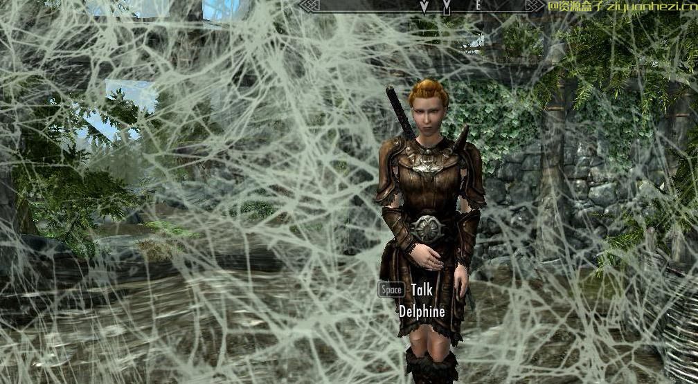 上古卷轴5：天际 蛛网诅咒法术v1.0 汉化版