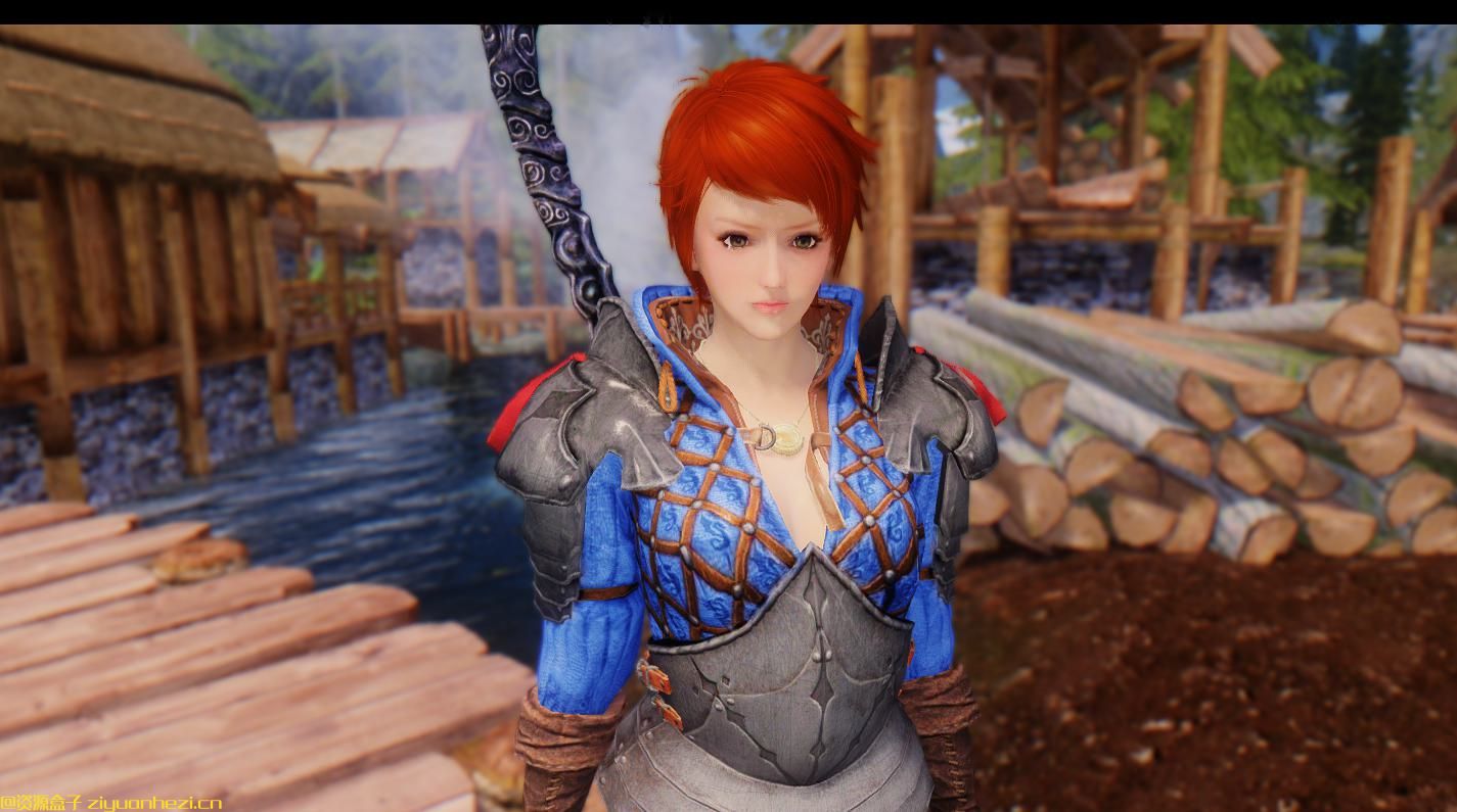 上古卷轴5：天际 皇家卫队护甲 汉化版