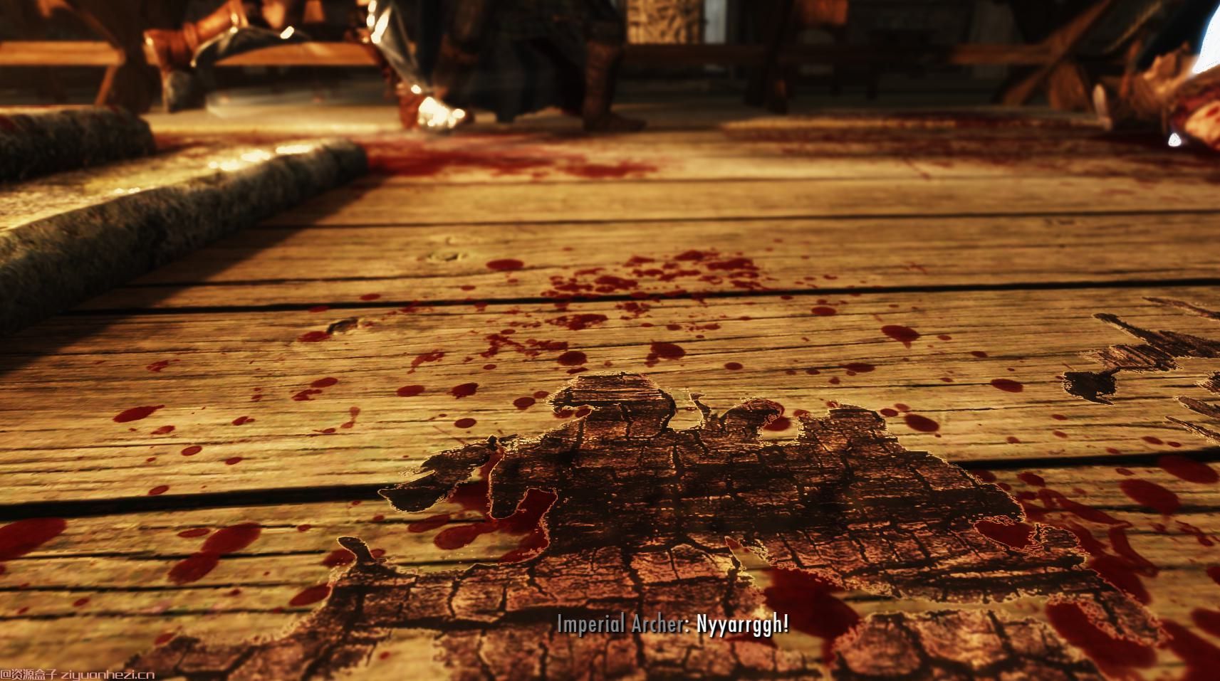 上古卷轴5:天际 真实冰火痕迹 汉化版