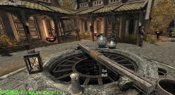 上古卷轴5：天际 真实可用水井 汉化版