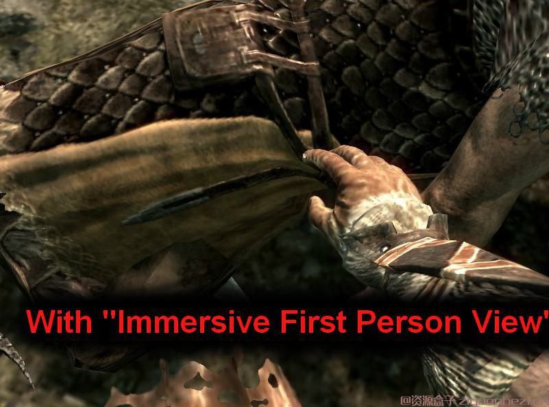 上古卷轴5：天际 丰富人物动作v1.01