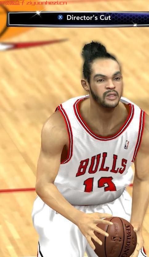 NBA2K14 次时代诺阿面补
