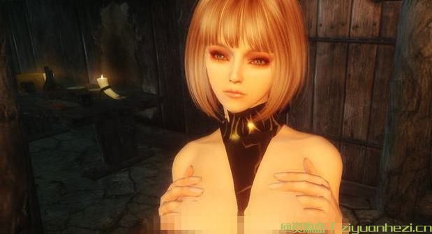 上古卷轴5:天际 中文语音随从MOD凝落v2.0