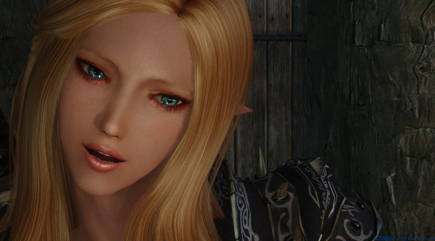 上古卷轴5：天际 随从MOD高精灵米娅