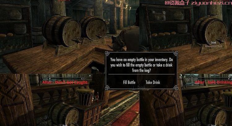 上古卷轴5：天际 动态天际物品v1.4 汉化版