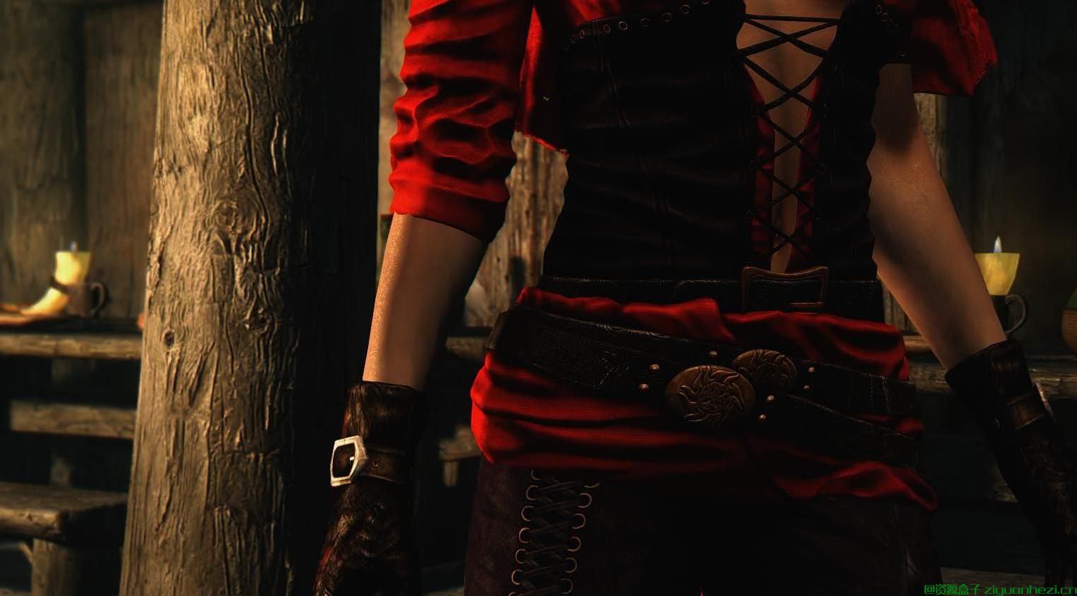 上古卷轴5：天际 红色破晓刺客套装