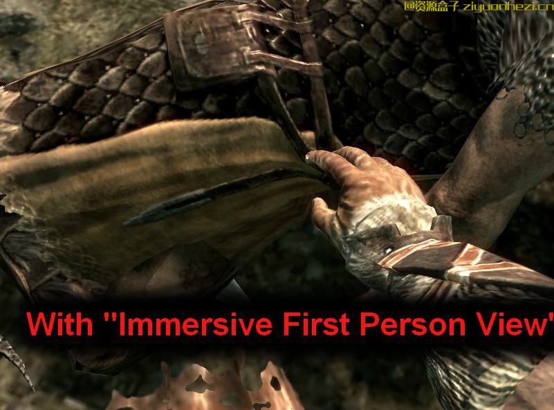 上古卷轴5：天际 丰富人物动作v1.01